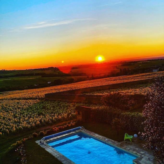Au Coeur Des Vignes Moulin A Vent Apartment La Chapelle-de-Guinchay ภายนอก รูปภาพ